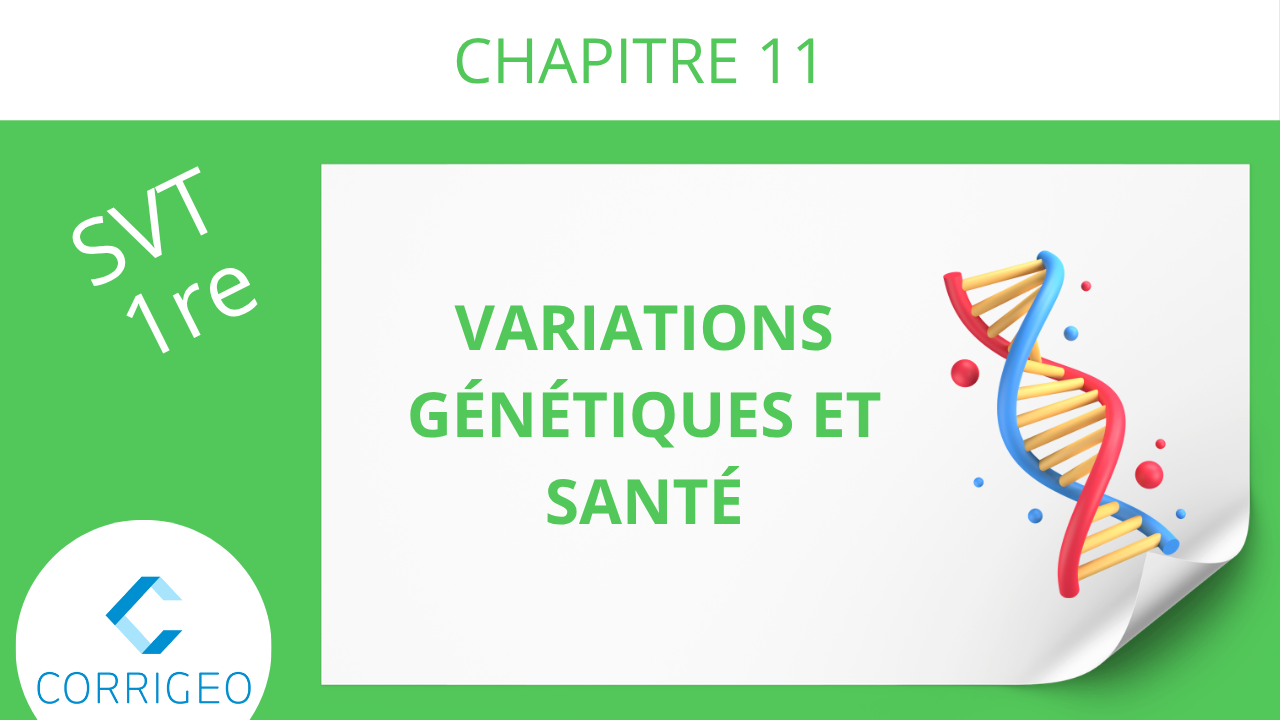 1re-Variations génétiques et santé