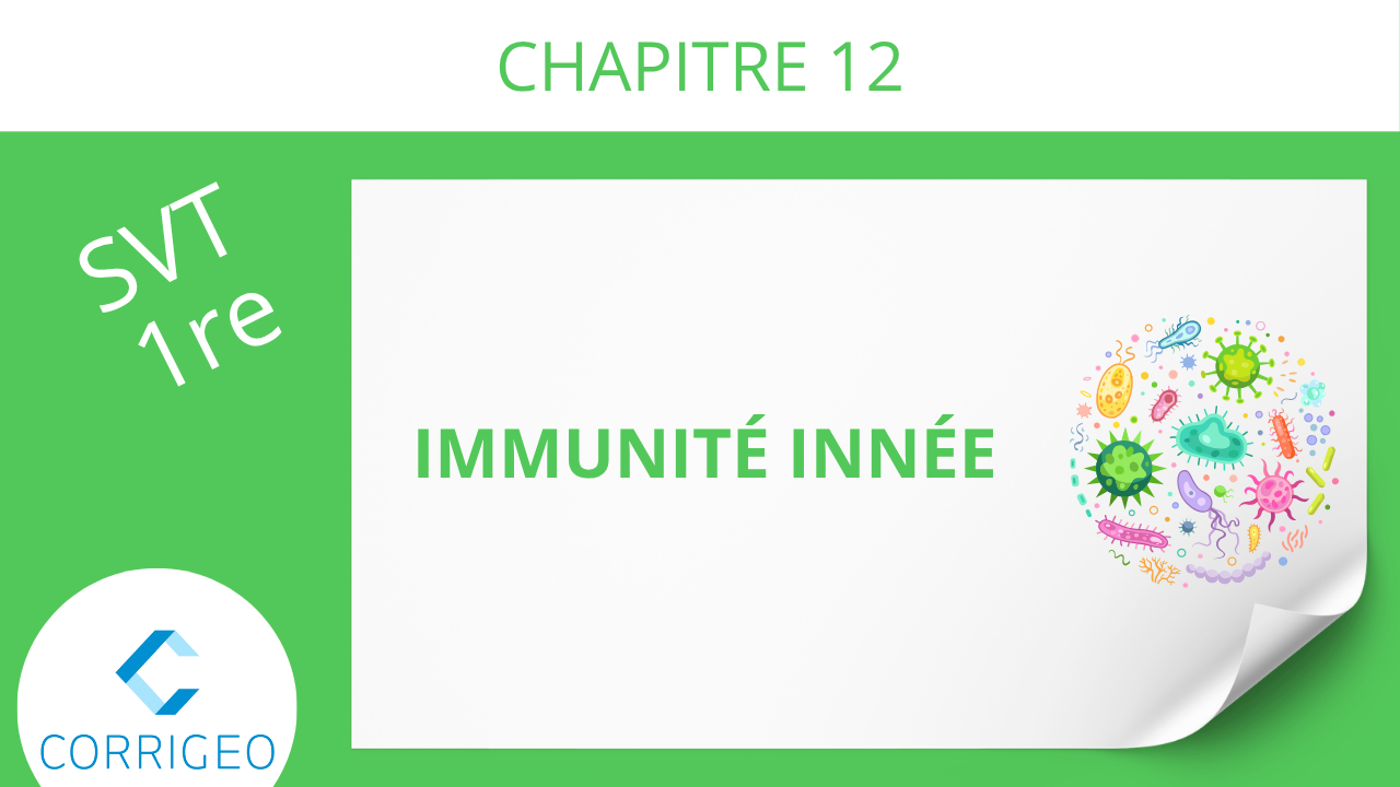 1re-Immunité innée