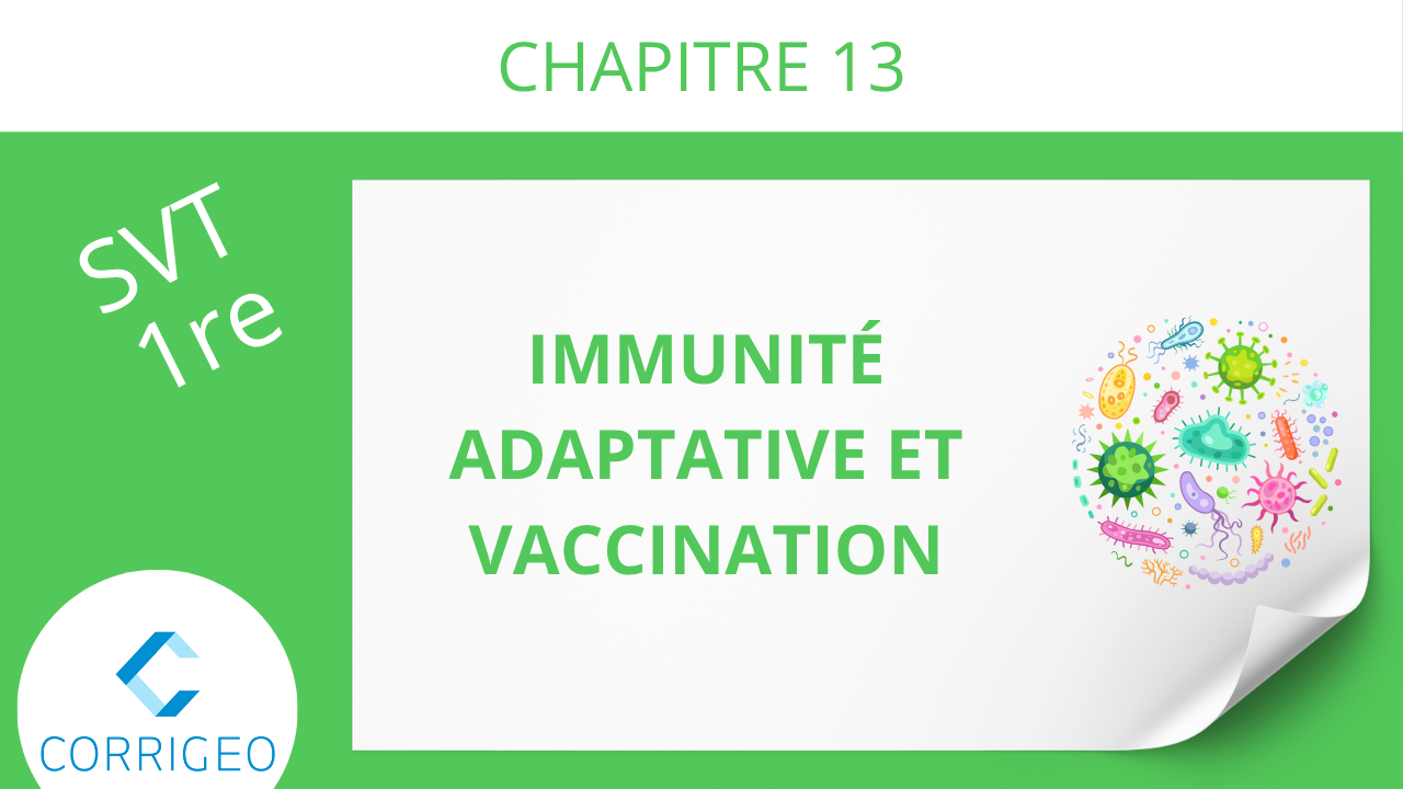 1re-Immunité adaptative et vaccination