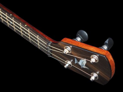 Irish banjo hand engraved headstock