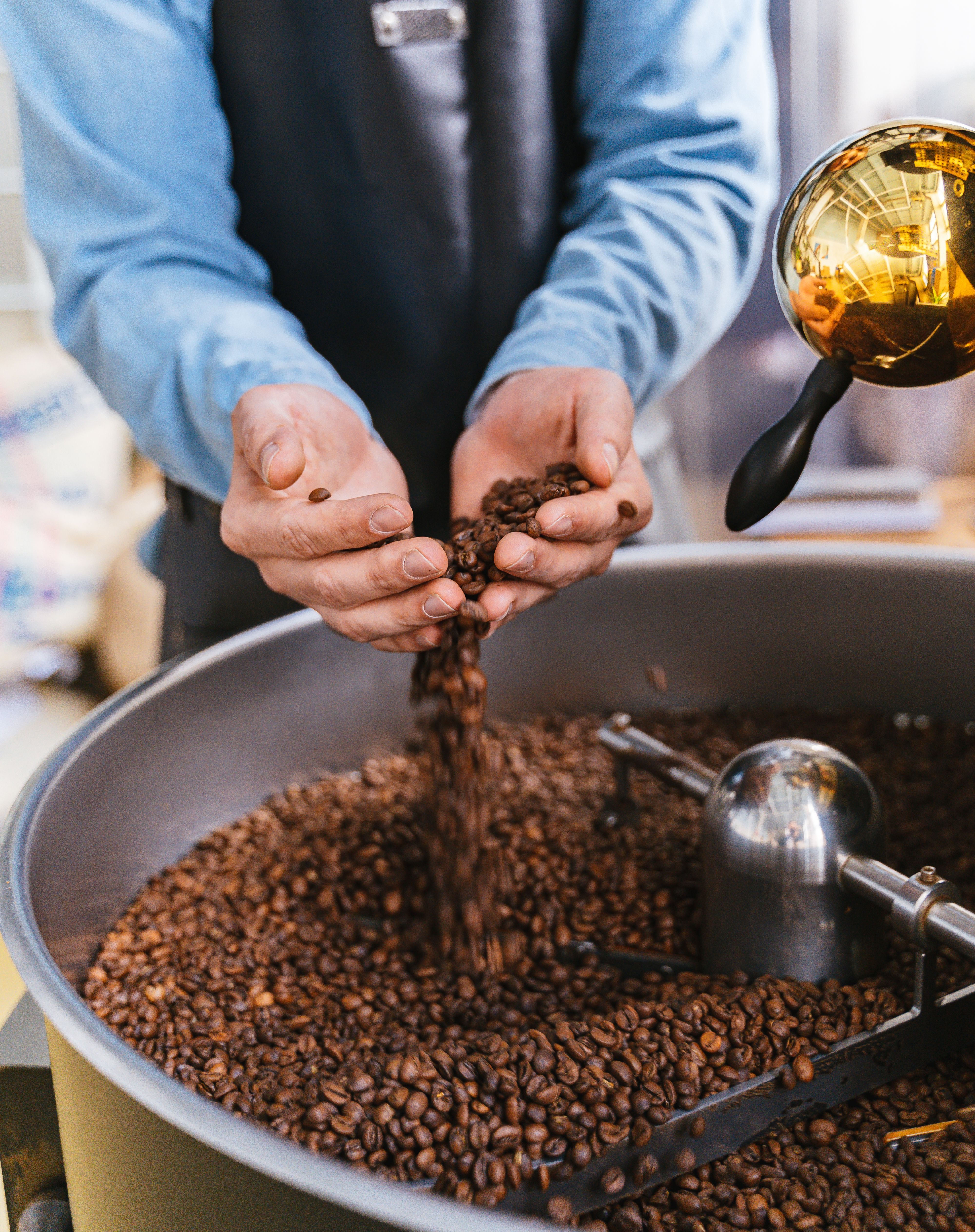 Roaster pouring coffee beans into a roasting machine