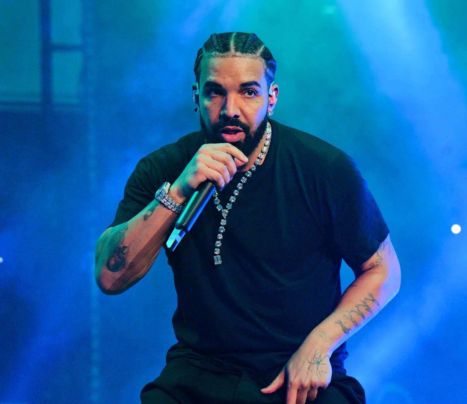 Drakes image