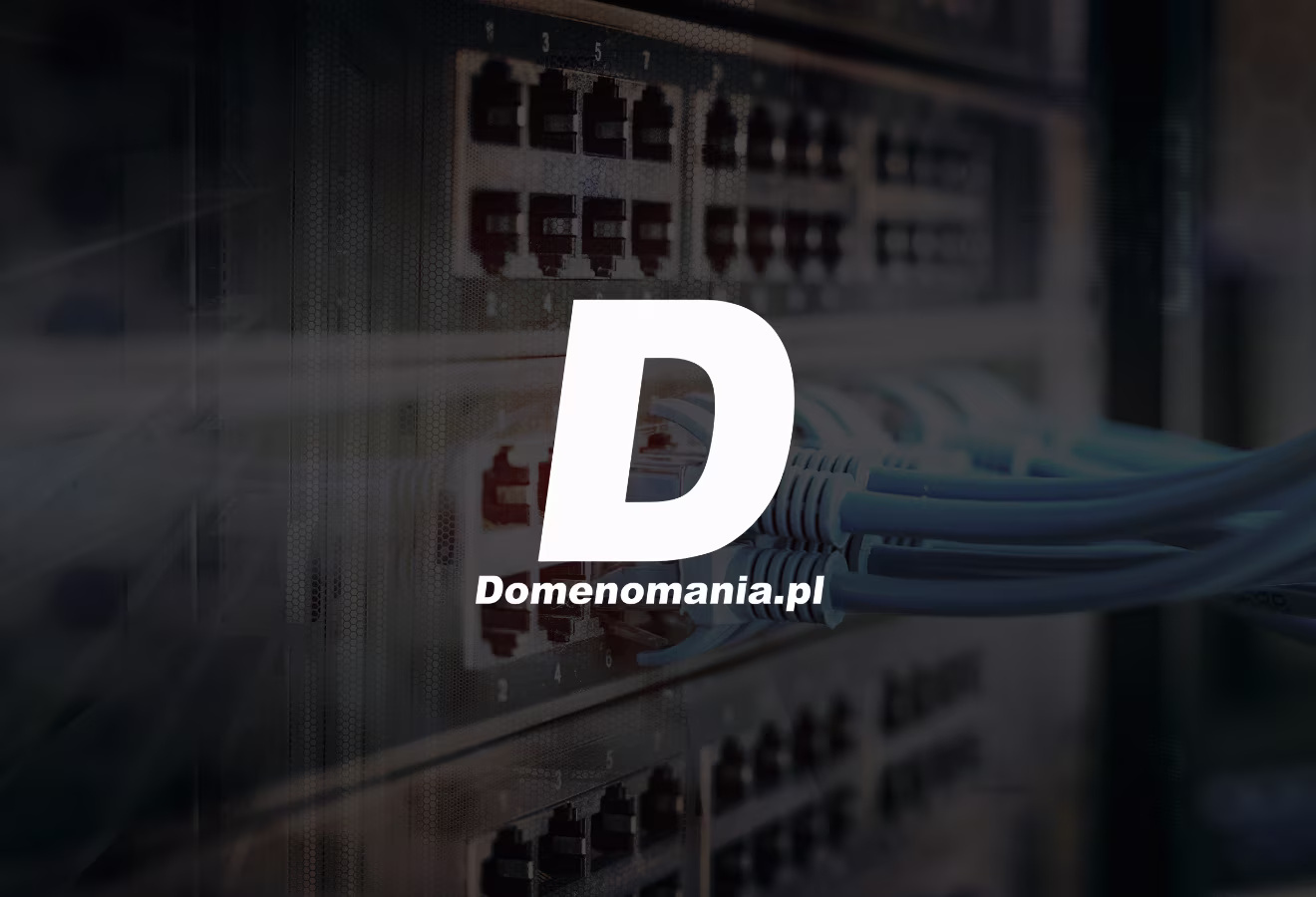 Domenomania