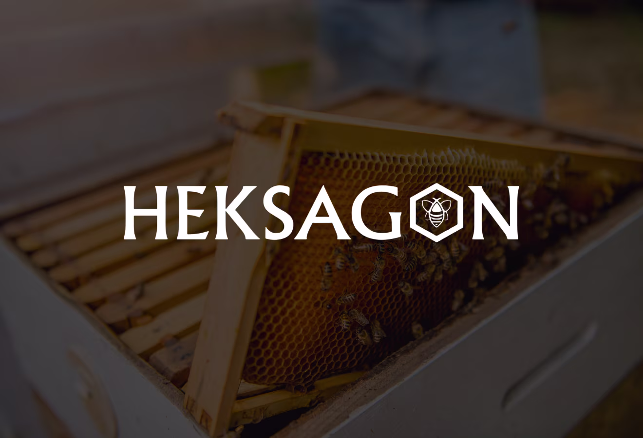 Heksagon