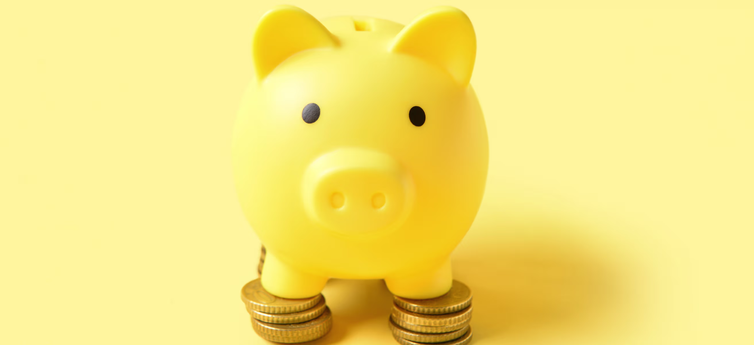 A yellow piggy bank surrounded by coins on a yellow background, symbolizing fundraising for startups.