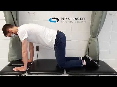 Exercice Dentelé antérieur à genoux - démonstration physiothérapie