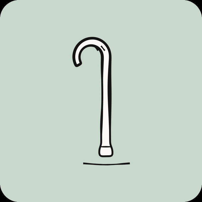 Illustration d'une canne sur fond vert, guide Arthrose de la hanche en physiothérapie Physioactif