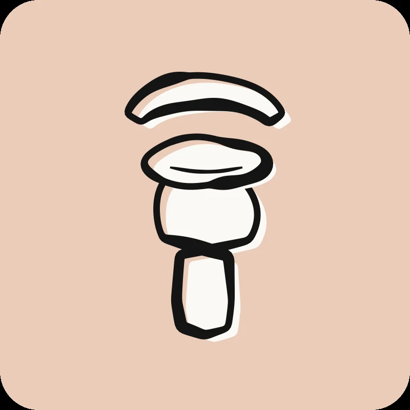 Illustration ligne d'une articulation de l'épaule, guide Bursite à l'épaule en physiothérapie Physioactif