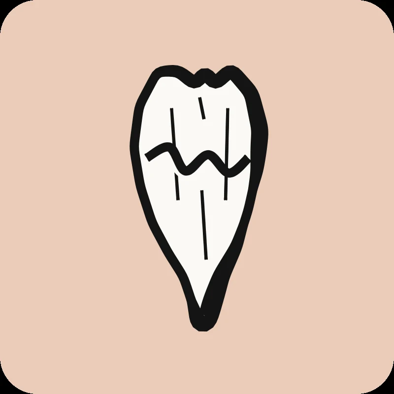 Illustration d'un muscle du mollet déchiré, guide « Claquage du mollet » en physiothérapie Physioactif