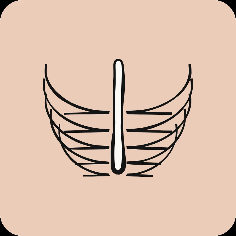 Illustration of the rib cage and sternum, a guide to thoracic back pain in physical therapy, Physioactif
