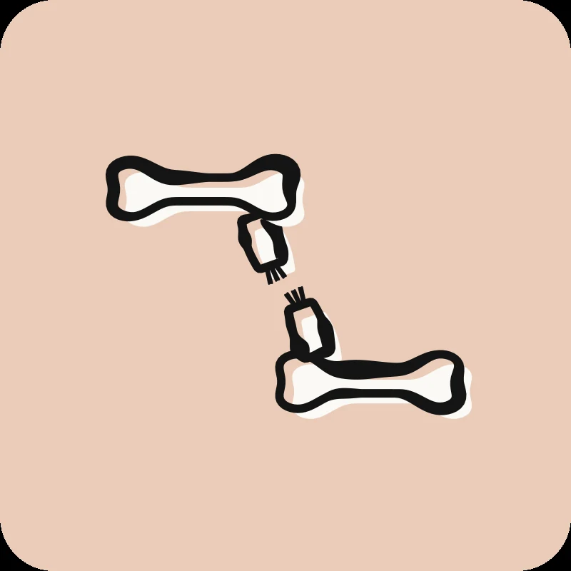 Illustration of two bones connected by a torn ligament, comprehensive guide to ligament pain in physical therapy: Physioactif