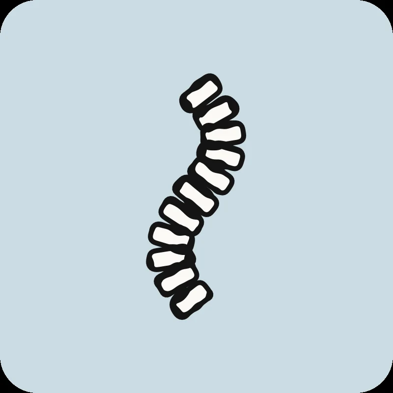 Illustration d'une colonne vertébrale courbée sur fond bleu, guide « Douleur reliée à la scoliose » en physiothérapie Physioactif