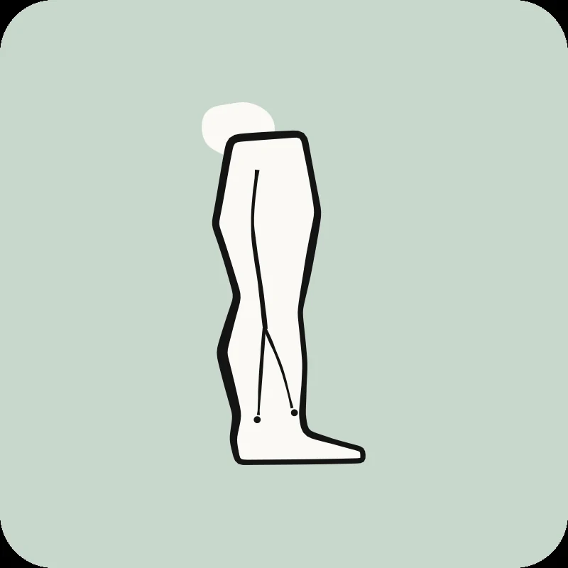 Illustration d'une jambe et d'un pied, guide « Lombo-sciatalgie » en physiothérapie chez Physioactif