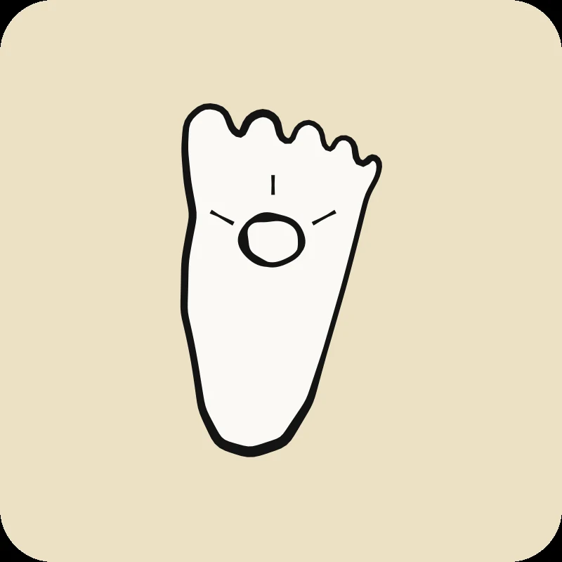 Illustration d'un dessous de pied avec douleur à l'avant-pied, guide Métatarsalgie en physiothérapie Physioactif