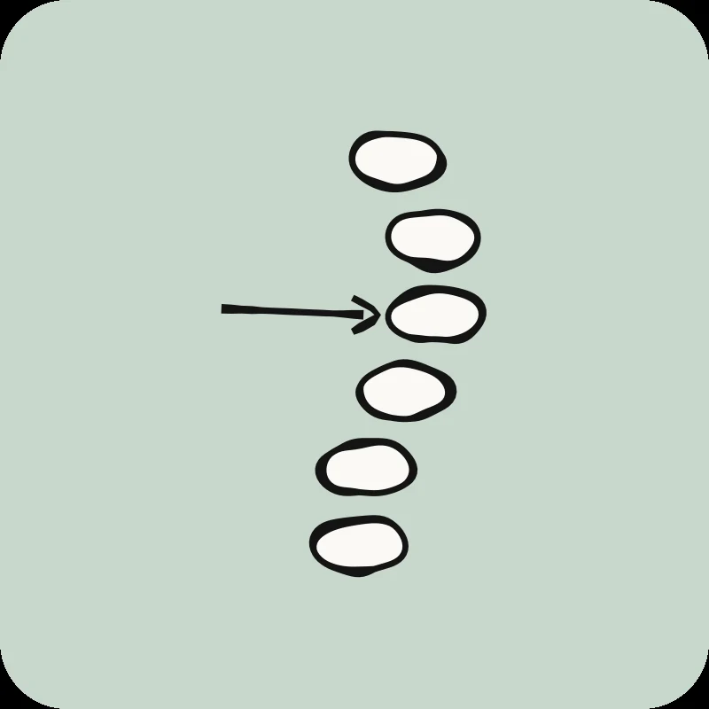 Illustration de vertèbres avec flèche ciblant une articulation, guide thérapie manuelle en physiothérapie Physioactif