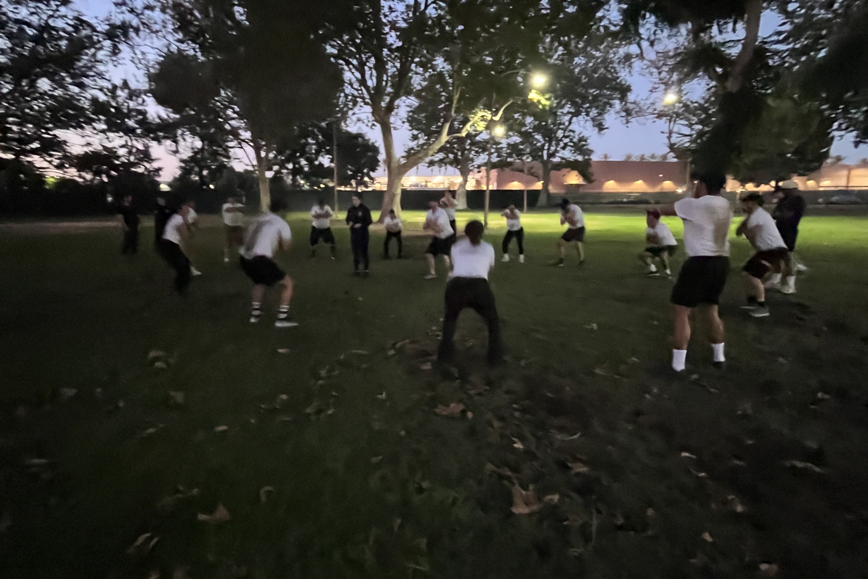 S2 recruits practicing defensive stance drills at dusk