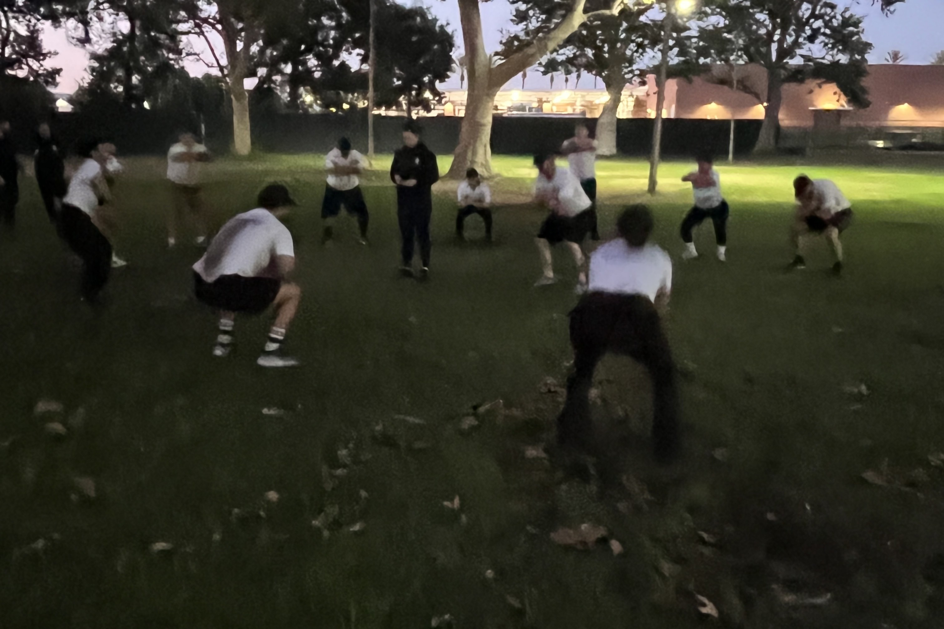 S2 recruits performing squat drills at dusk