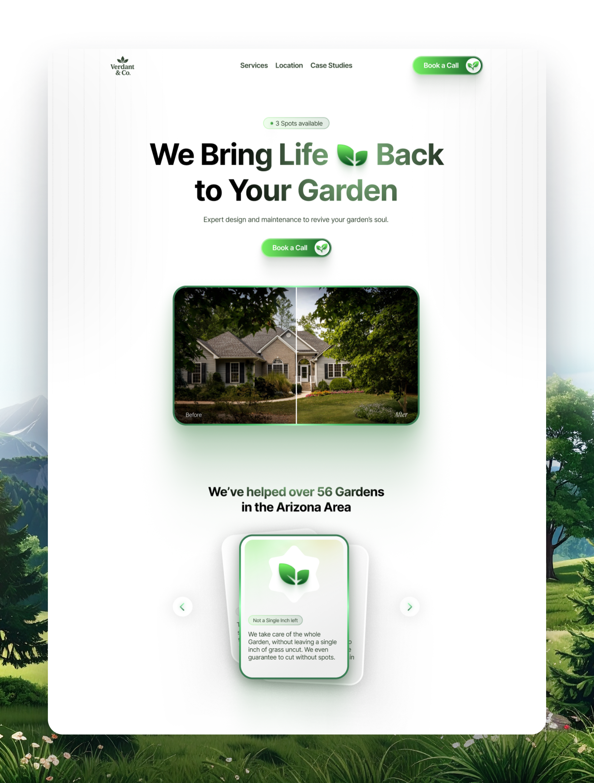 Portfolio Design Showcase - Website