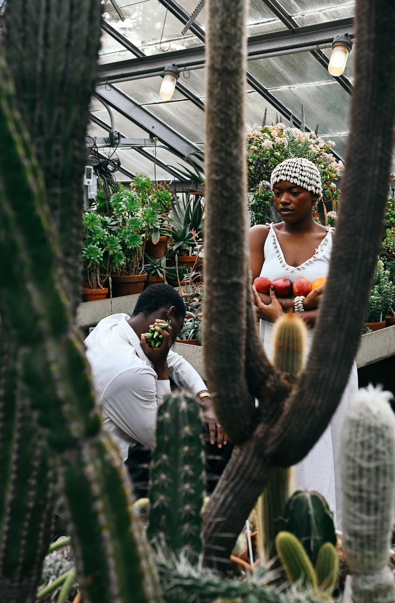 We Are The Seeds for Wave Hill 