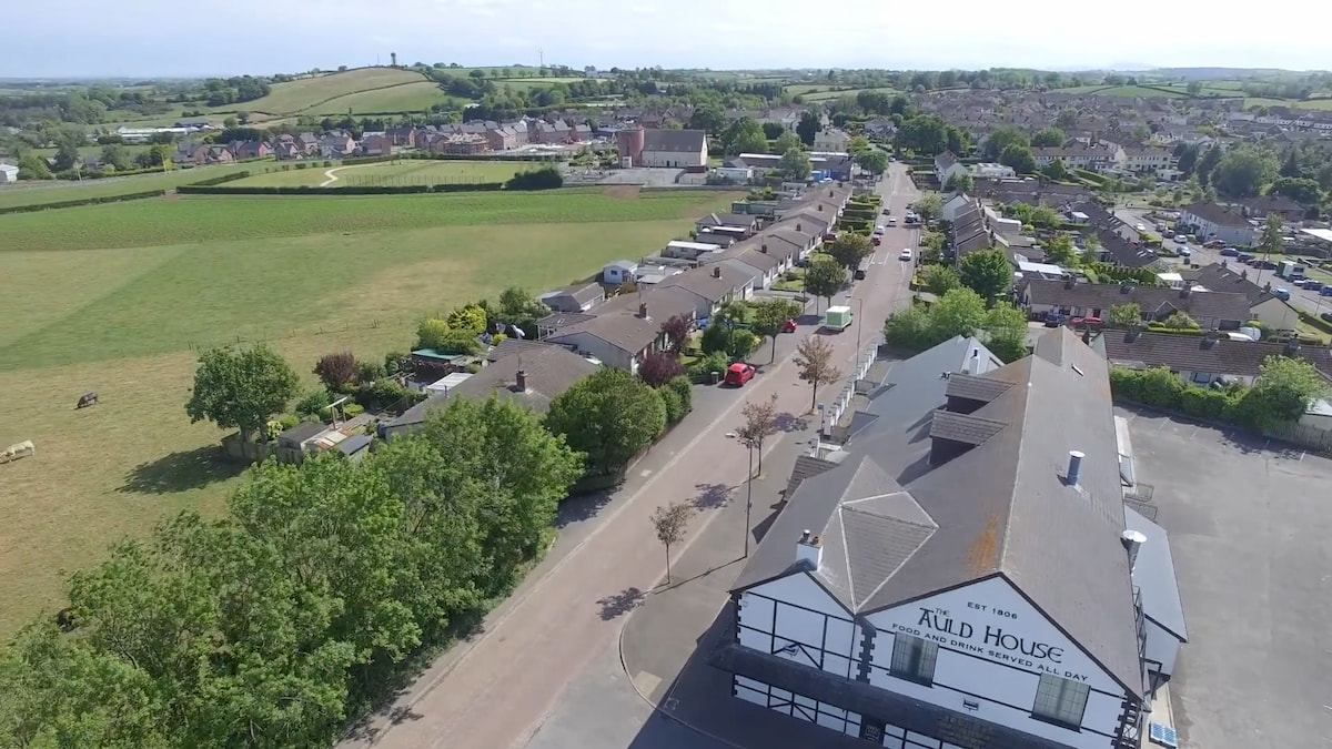 View over Moneyreagh, showing a rural village setting with residential homes, surrounding farmland, local primary school, and nearby country roads connecting to Belfast and Comber.