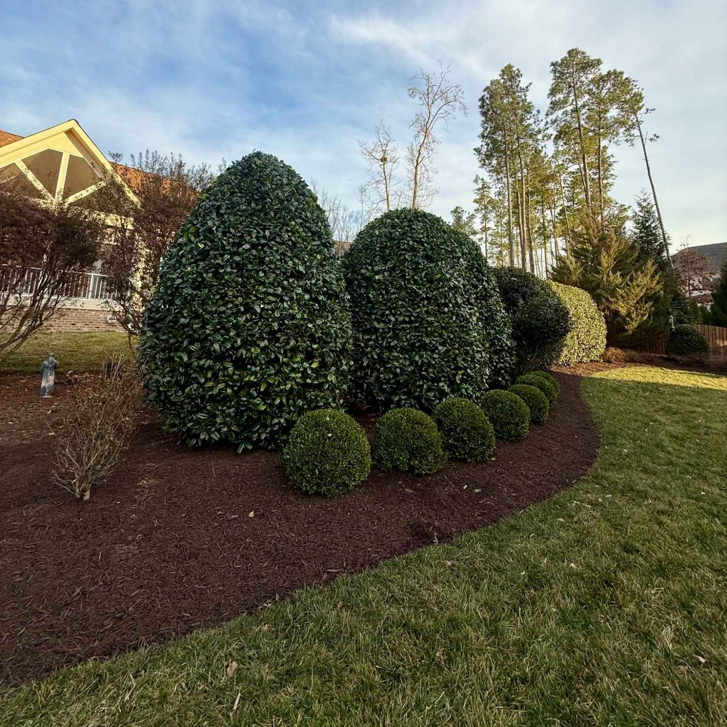 landscaping with fresh cut grass, mulch, and shrubs