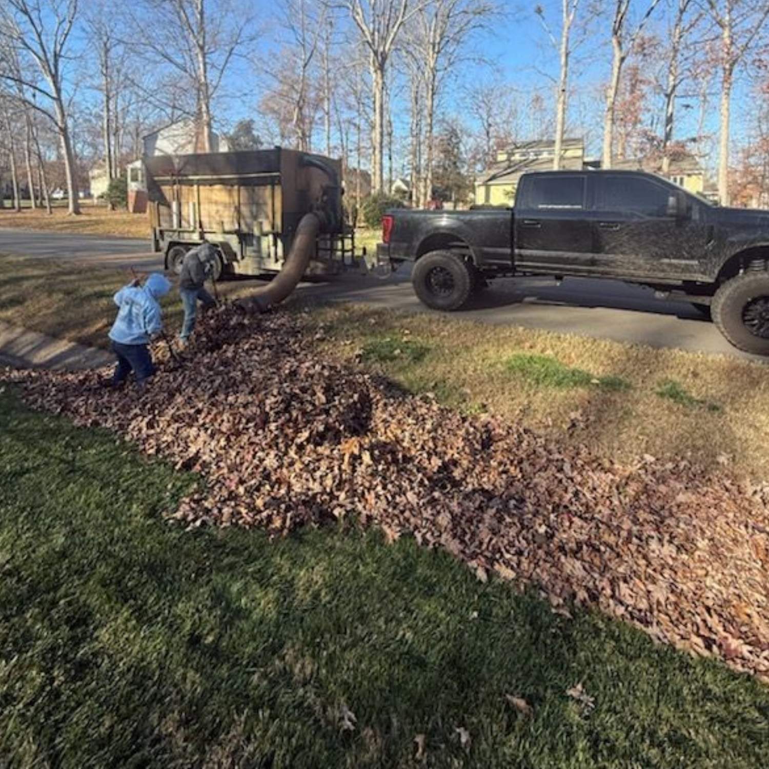 truck taking out leaves from a yard.