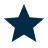 Dark blue five-pointed star icon.