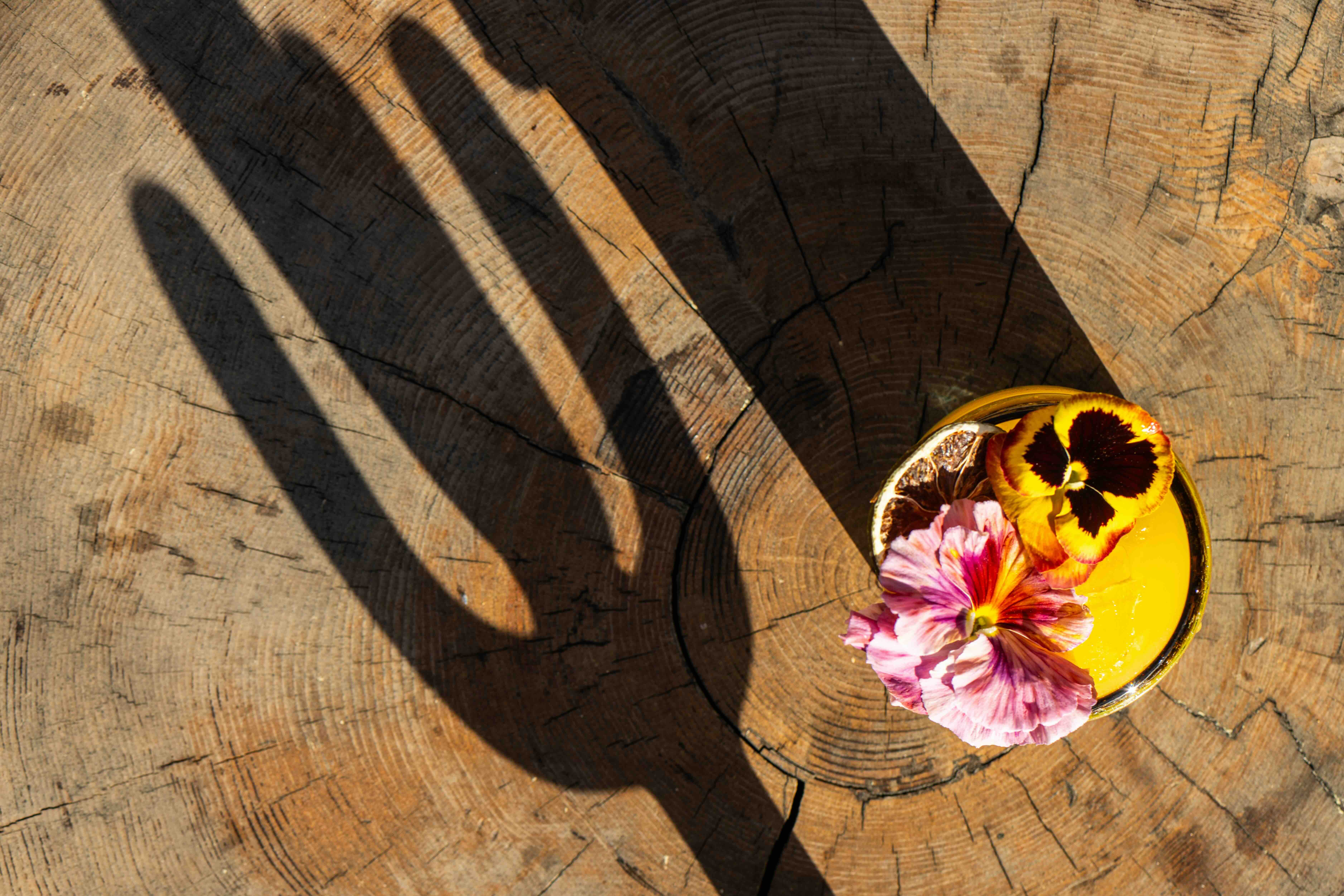 margarita with flower garnish