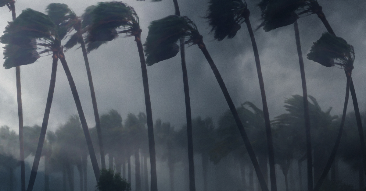 AHX Weekly Market Intelligence: Diesel Spikes in All 10 Corridors as Tropical Storm Bertha Threatens the Gulf Coast