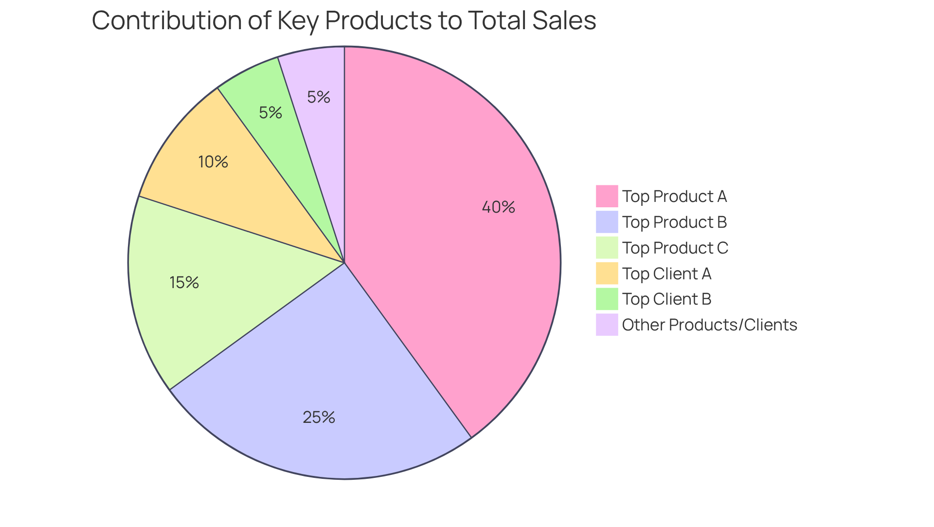 Each slice represents a product or client and shows how much of the total sales they contribute. Bigger slices mean they drive more revenue, highlighting the importance of focusing on these key areas.