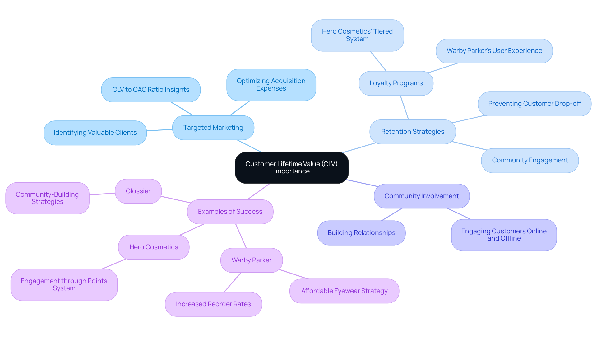 At the center, you have CLV, and the branches show how it affects marketing and business strategies. Each color-coded branch highlights a different aspect of how DTC brands can leverage CLV to grow and succeed.