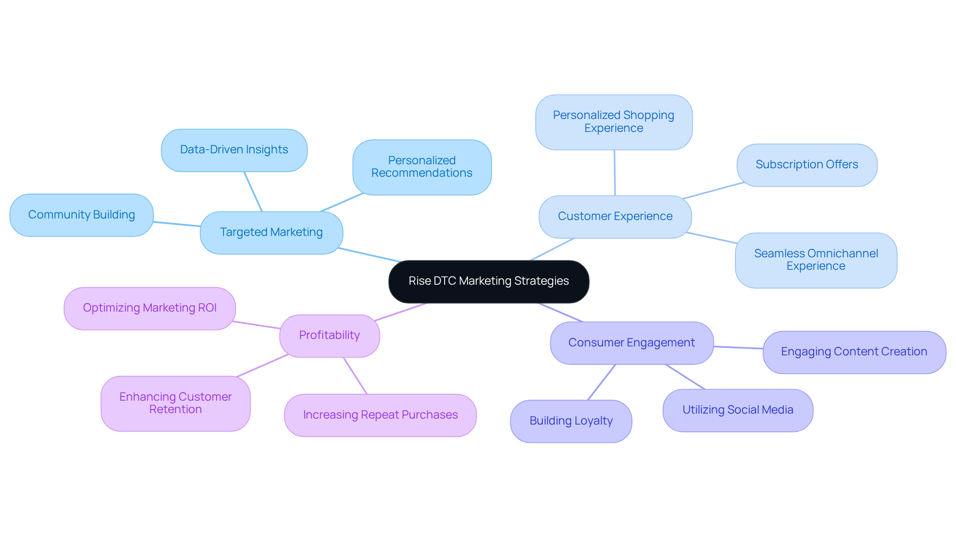 The center represents Rise DTC's overall strategy, and the branches show how they focus on different aspects like marketing, customer experience, and profitability. Each branch highlights specific strategies that contribute to the agency's success.