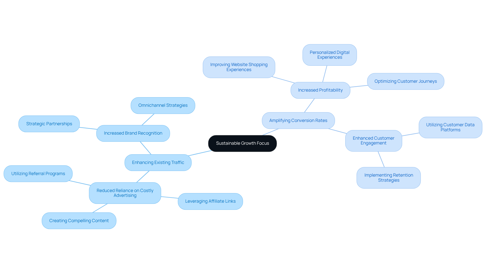The center represents the main focus on sustainable growth, while the branches show the key strategies. Follow the branches to see how each strategy aims to improve profitability and success.