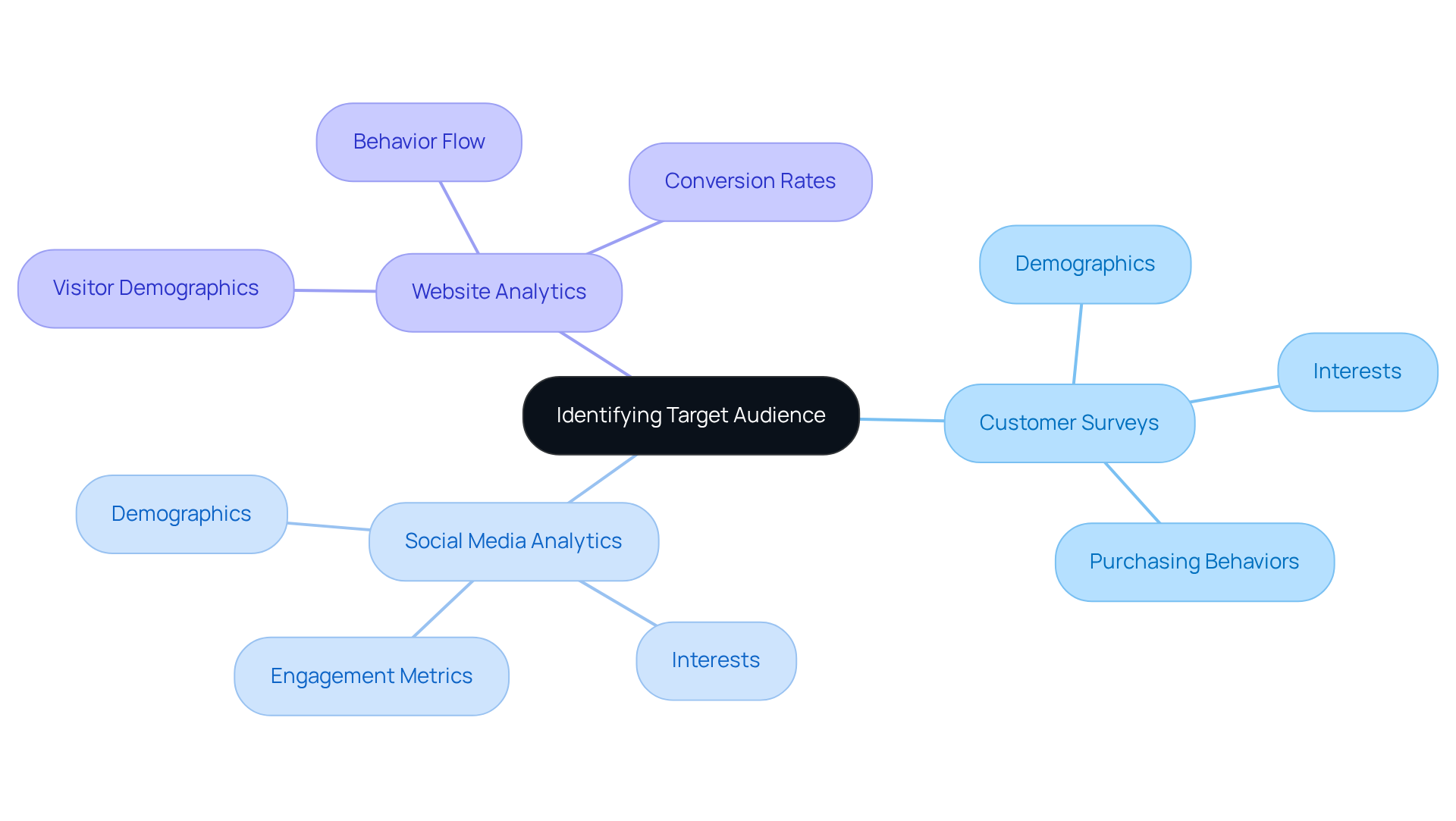 The center represents the main goal of identifying your audience, with branches showing the methods you can use and what information you'll gather from each. Follow the branches to see how everything connects.