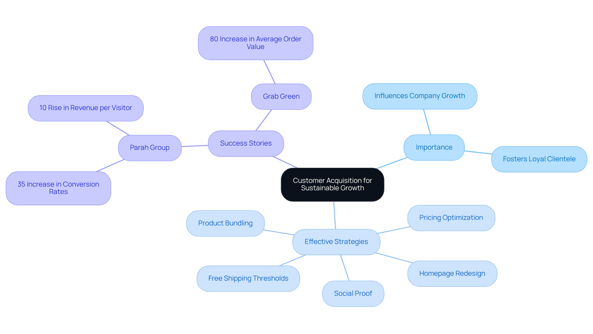 The center shows the main theme, while the branches lead to important strategies and examples of successful companies. Each branch represents a key aspect of customer acquisition and its impact on sustainable growth.