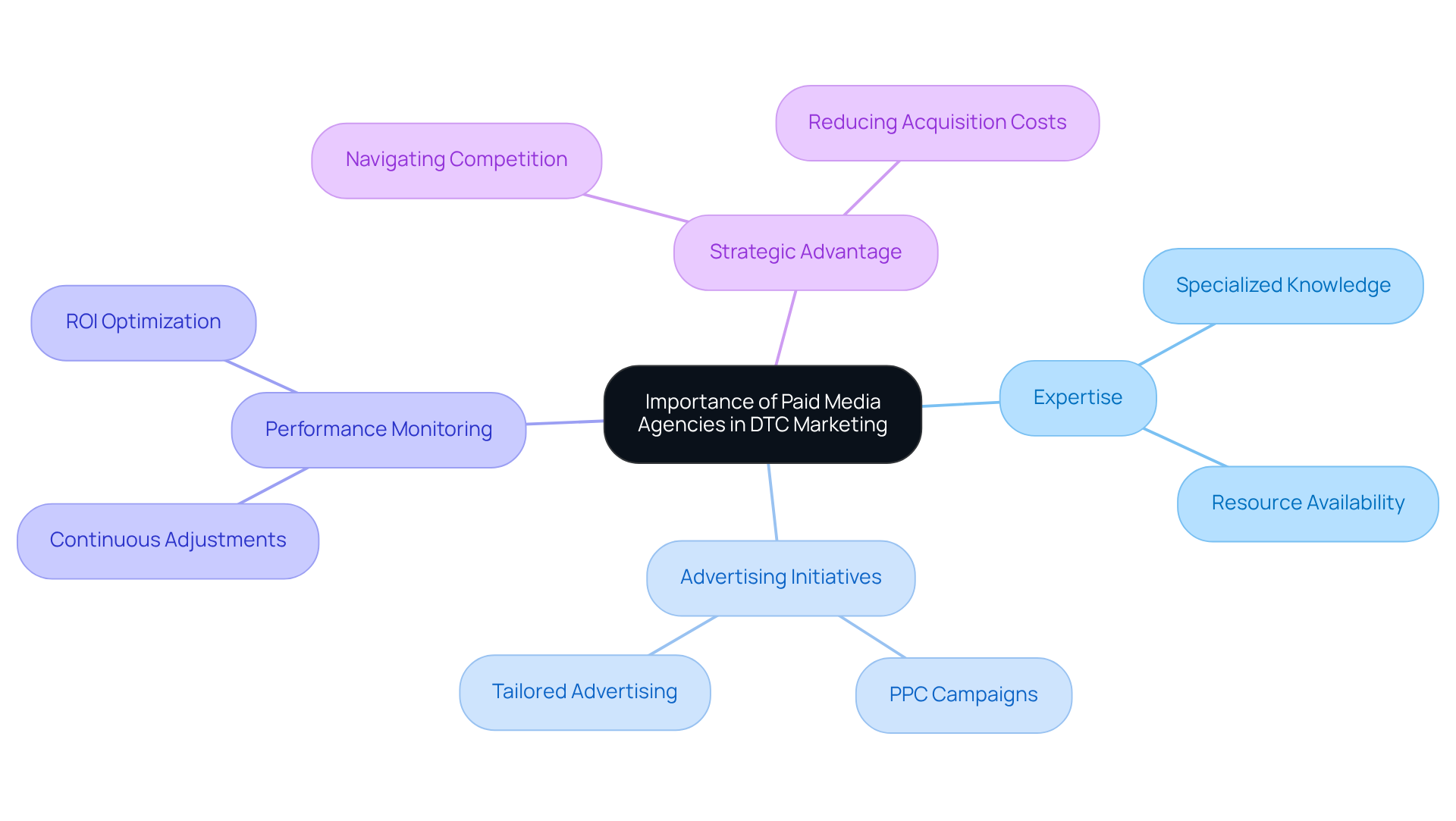 The center shows the main idea, and each branch represents a different aspect of how paid media agencies support DTC companies. Explore each branch for more detailed information.