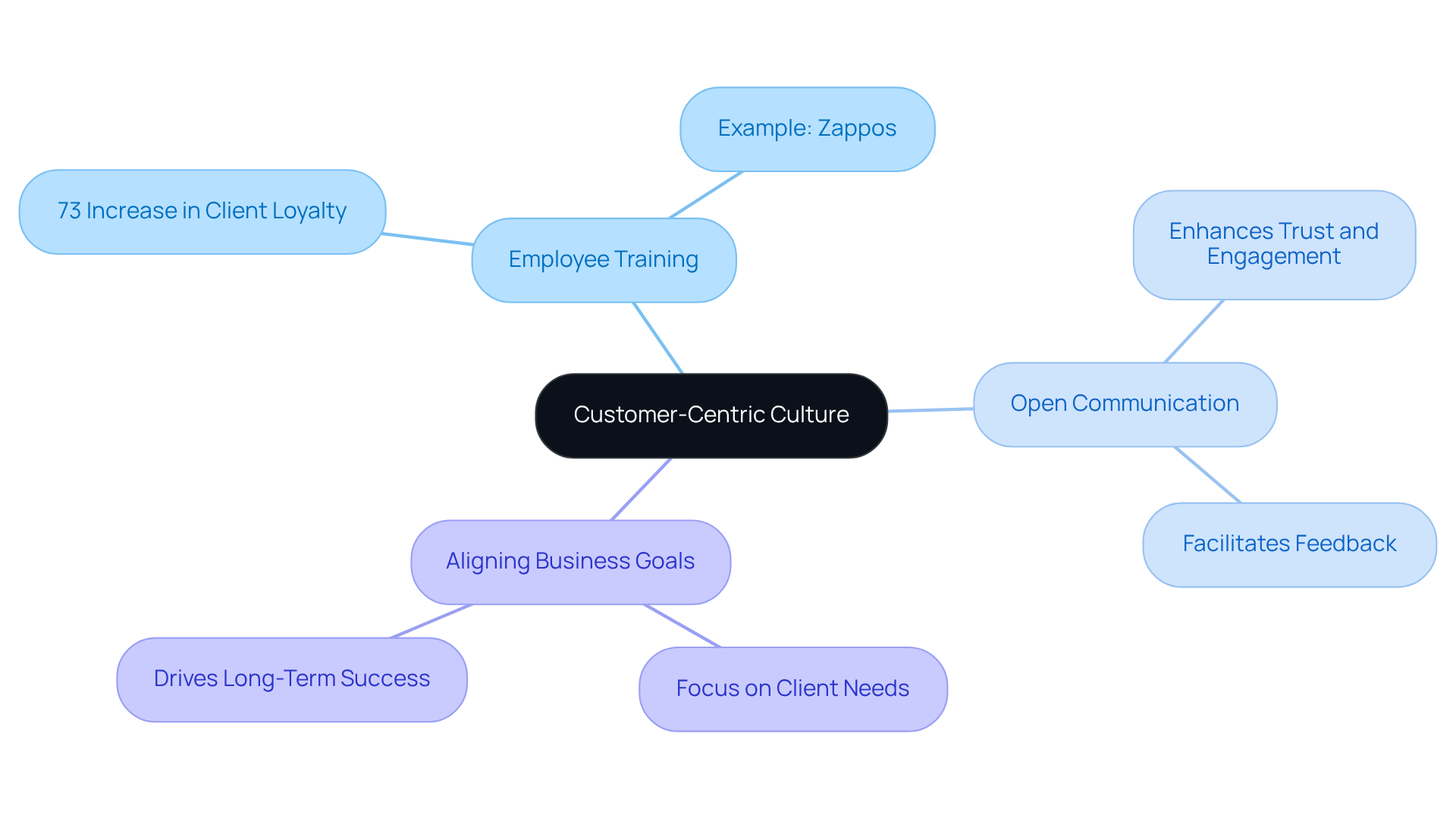 The central idea is how to create a customer-focused culture. Each branch represents a strategy, with further details that provide insights and evidence of its importance.