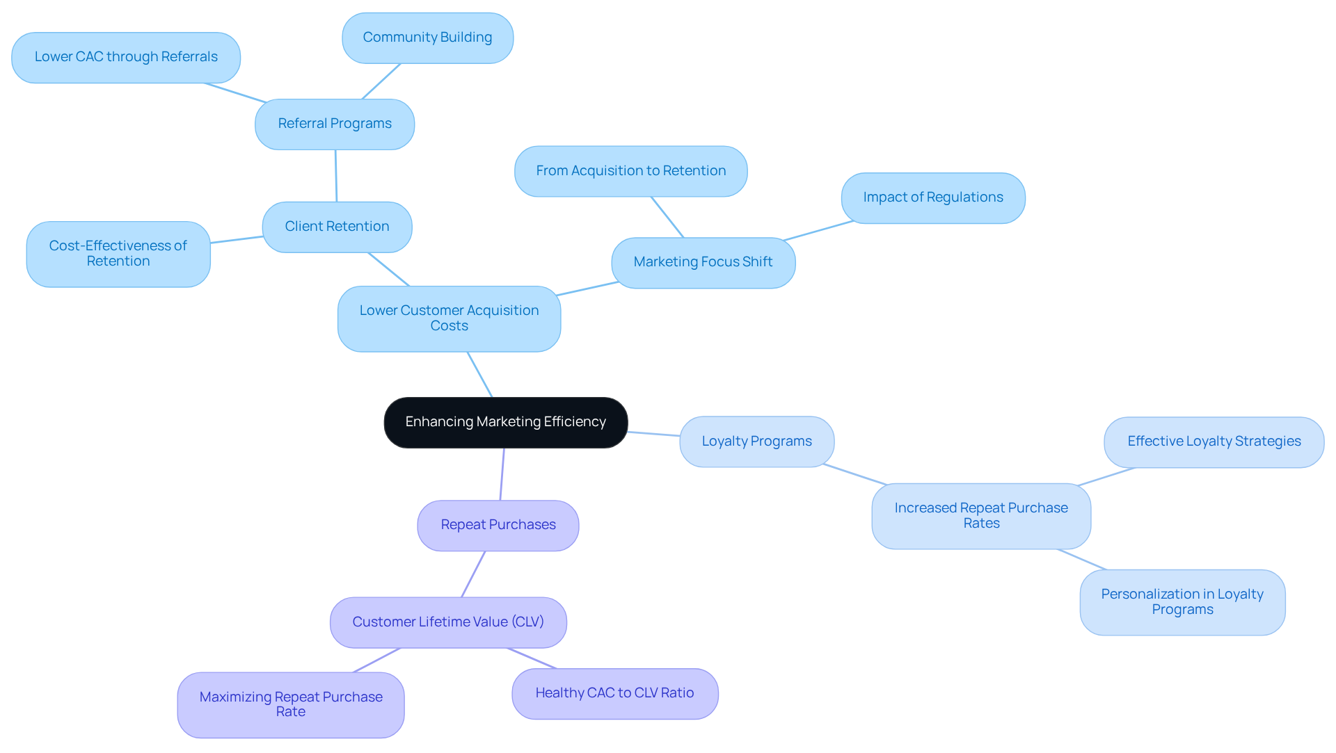 The center represents the main goal of enhancing marketing efficiency, with branches showing how to achieve this through lower acquisition costs, loyalty programs, and focusing on repeat purchases. Each branch illustrates a part of the strategy.