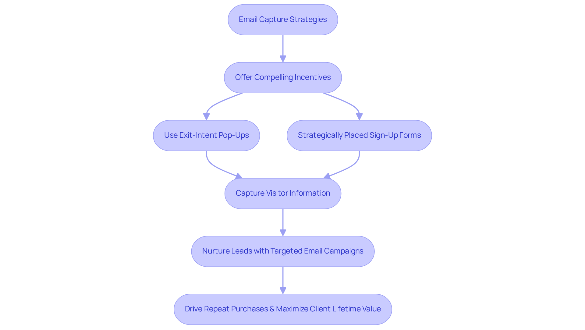 Each box represents a step in the email capture process. Follow the arrows to see how each action contributes to retaining clients and enhancing profitability.