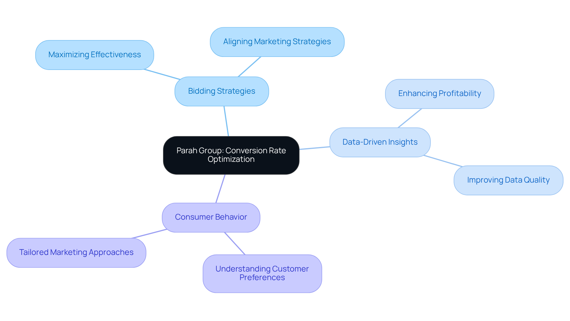 The center node represents Parah Group's main service. Follow the branches to explore various aspects of their strategies and how they contribute to optimizing advertising investments.