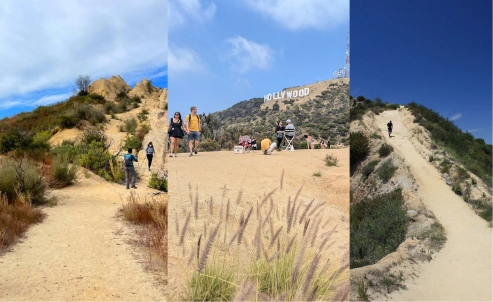 Preview Image of Hikes in LA