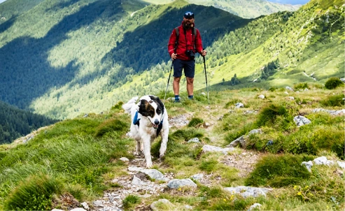 Man hiking with his dog