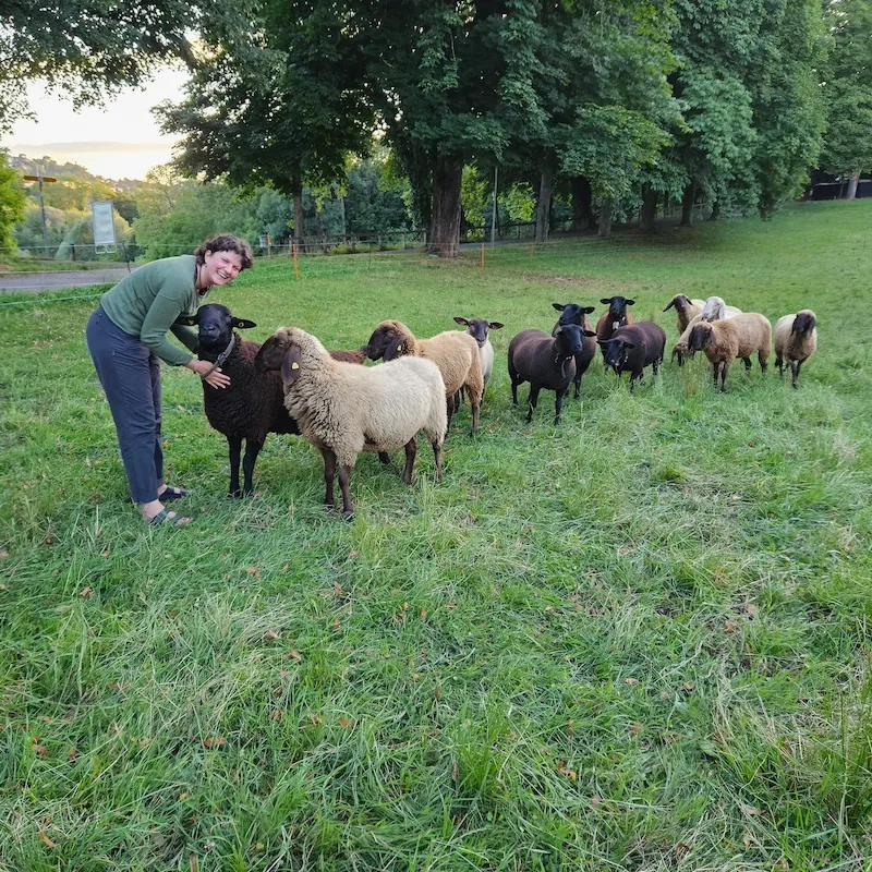 Frau in grüner Bluse und dunkler Hose steht auf einer grünen Wiese und streichelt ein schwarzes Schaf, umgeben von einer Gruppe verschiedener Schafe.