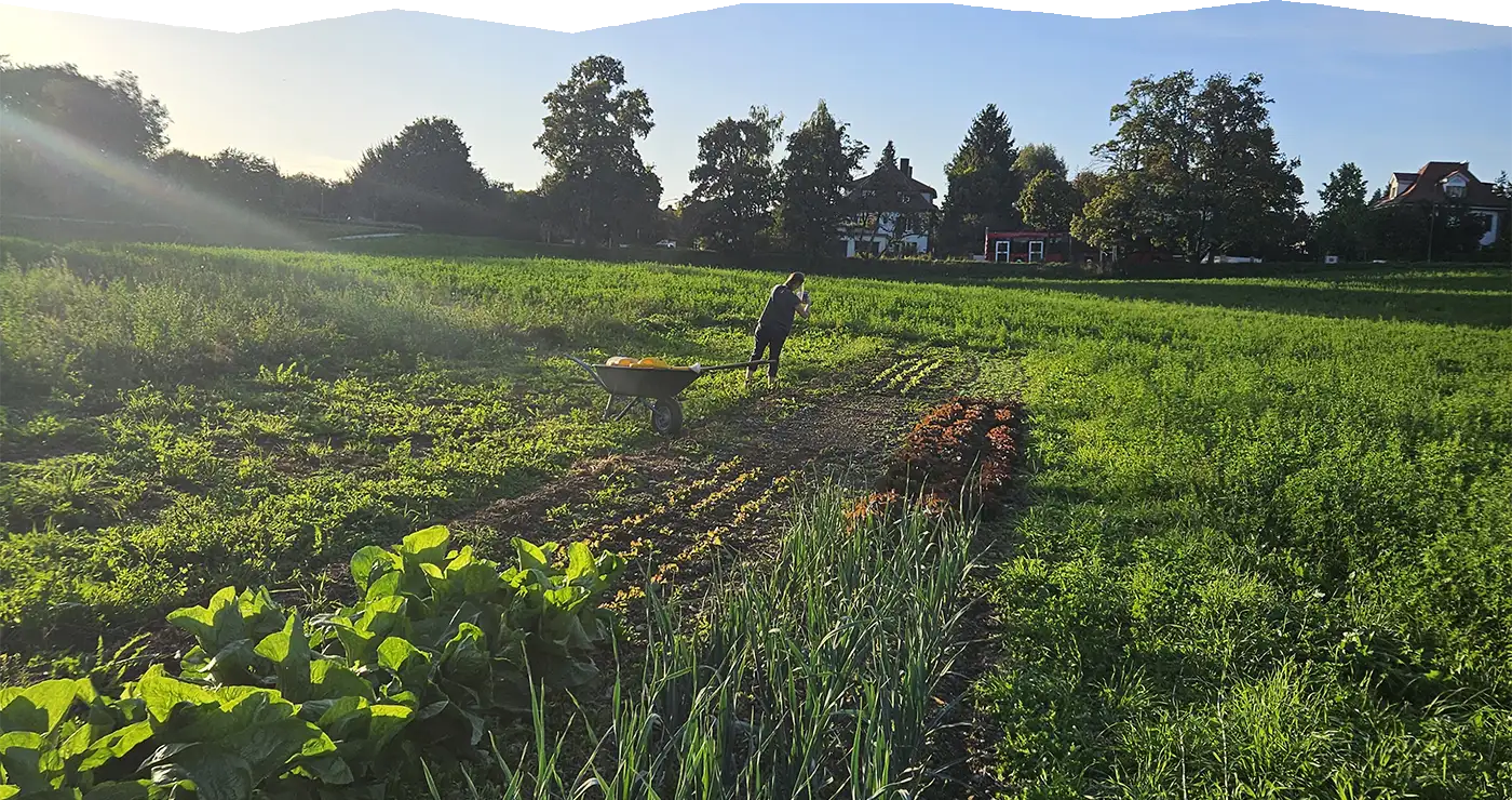 Foto einer Wiese mit einem Erntehelfer