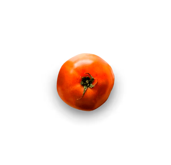 Our Story Started Back In 1984 - Pizzaplanet X Webflow Template