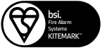 BSI Logo