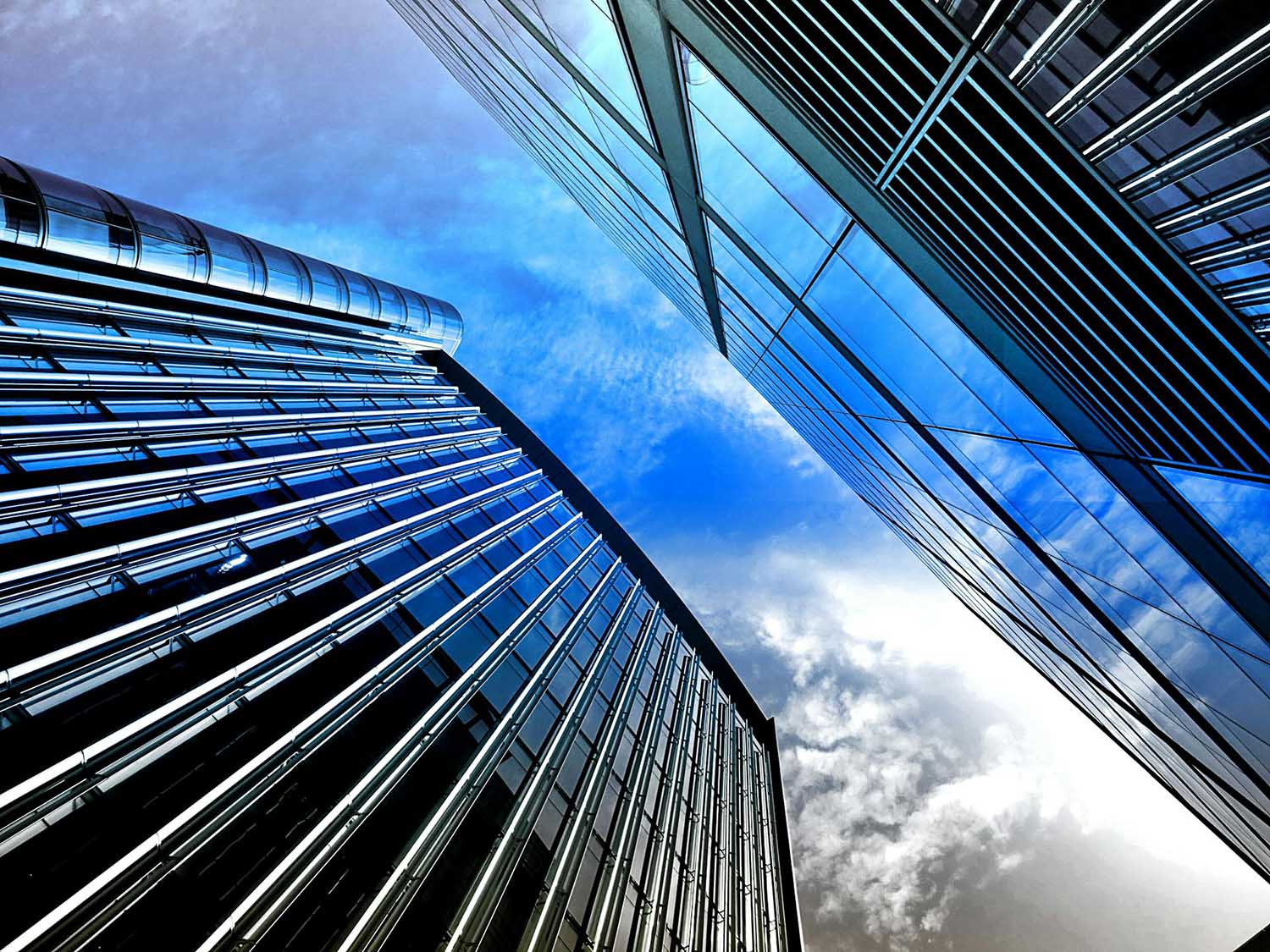 Building DEI Capability at a Multinational Financial Services Provider