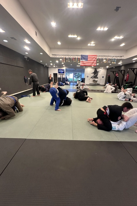 Brazilian-Jiu-Jitsu