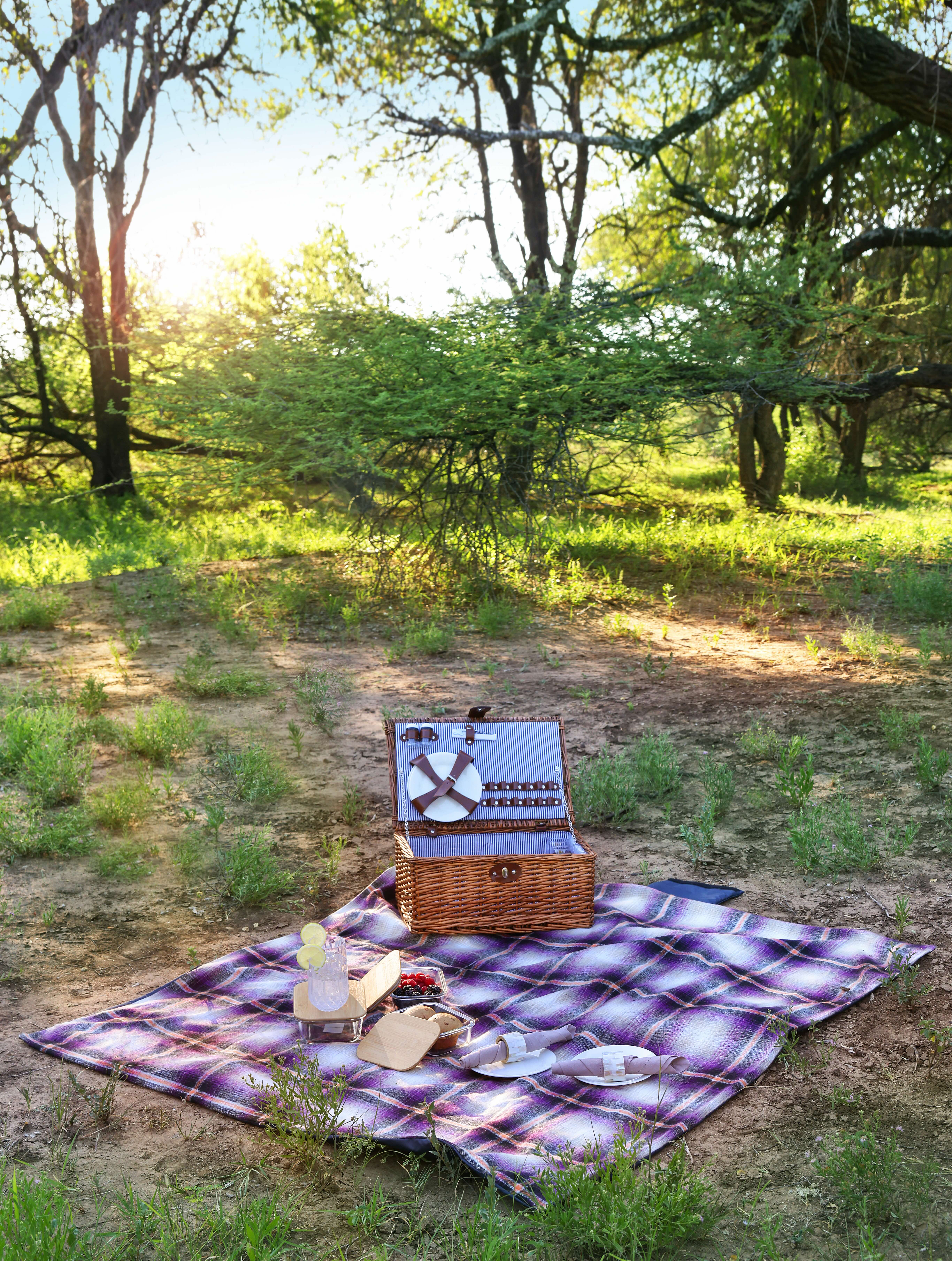 Bush picnic at Naka Luxury Lodge