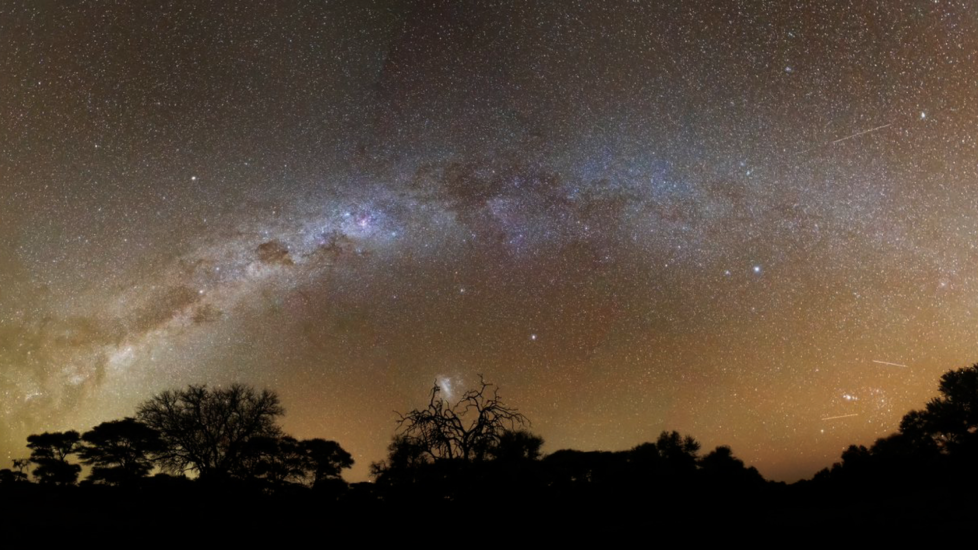 Starry night sky at Naka Luxury Lodge for Searching for Canopus stargazing experience